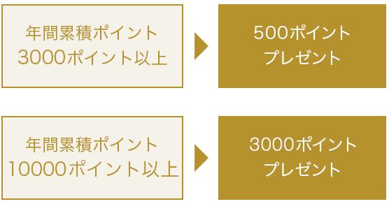 ボーナスポイントのプレゼント