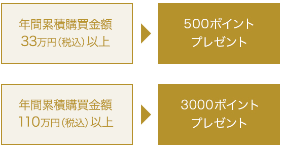 ボーナスポイントのプレゼント
